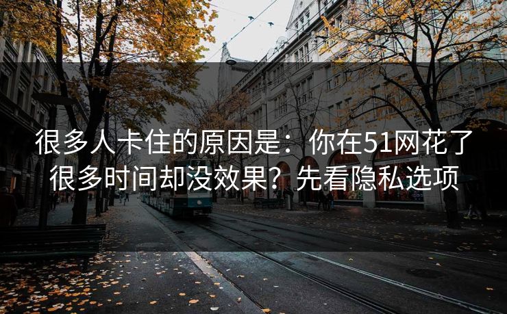 很多人卡住的原因是：你在51网花了很多时间却没效果？先看隐私选项